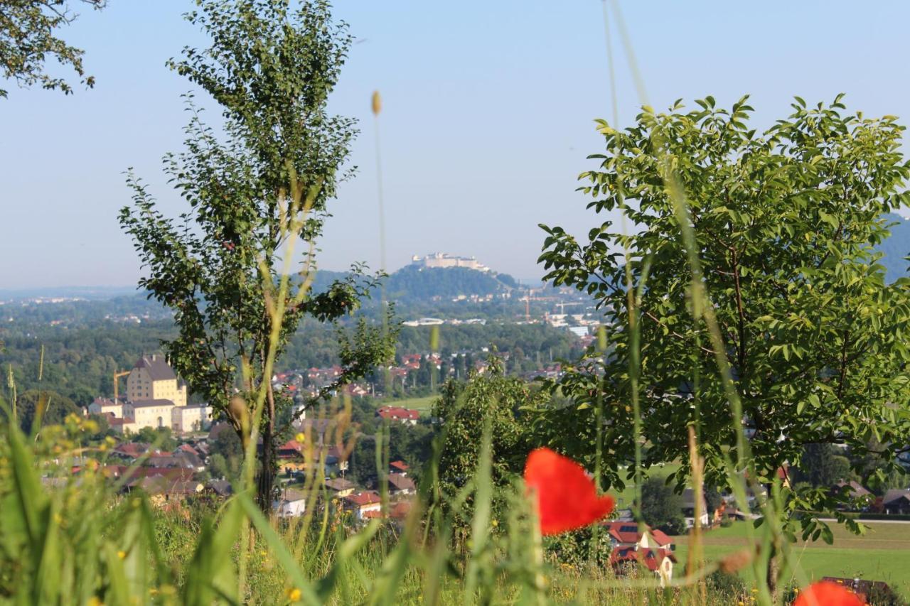 Haus Haslach Elsbethen Εξωτερικό φωτογραφία